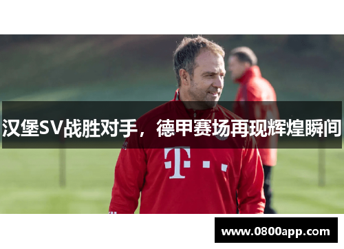 汉堡SV战胜对手，德甲赛场再现辉煌瞬间